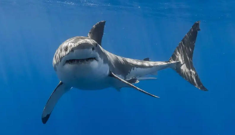 昌邑兴昌机械有限公司轮播图1