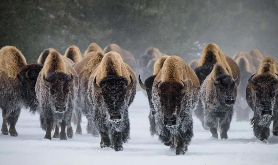 昌邑兴昌机械有限公司轮播图1